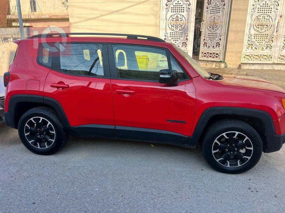 جيب رينيجيد